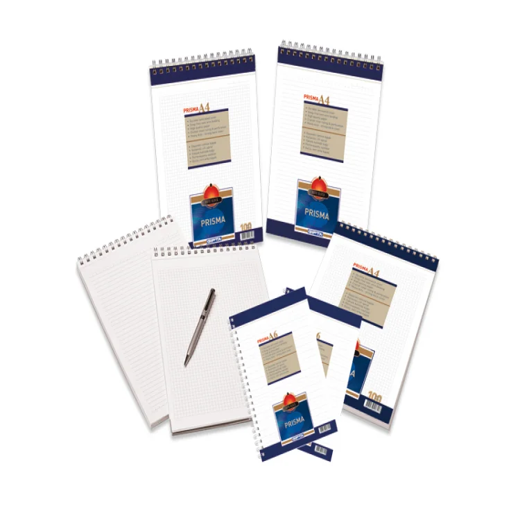 Gıpta Block Master A4 Spiralli Karton Kapak Bloknot 100 Yaprak Kareli 1383