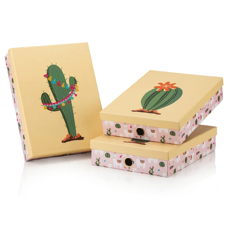 Gıpta Llma Dosya Kutusu Org8844