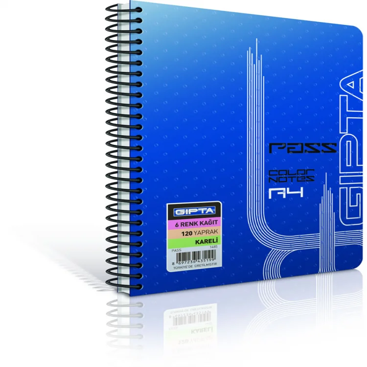 Gıpta Pass A4 Spiralli Pp Kapak Kon. Defter 100 Yaprak Kareli 1291