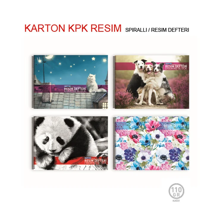 Gıpta Rafadan Tayfa 17x24 Spiralli Resim Defteri 15 Yaprak 3-6358000-2011