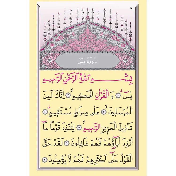 Hayrat 2 Renkli Cep Lafzatullah Raşet Mealli Yasin B.mavi 3668  Rmzn