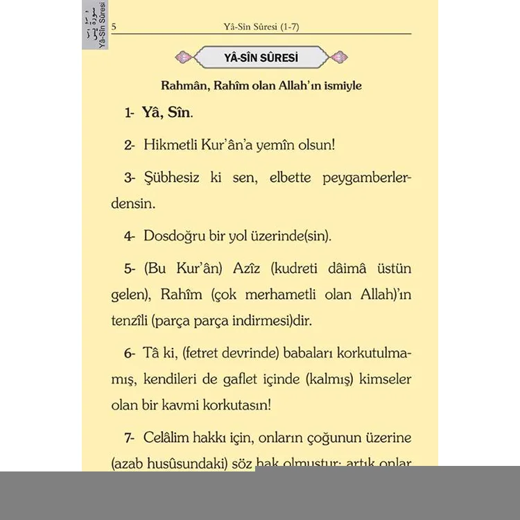 Hayrat 2 Renkli Cep Lafzatullah Raşet Mealli Yasin Mor 3705