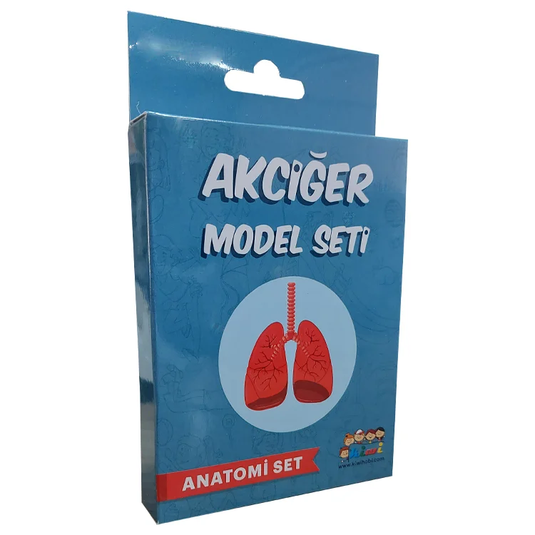 Kiwi Kw500 Akçiğer Deney Seti