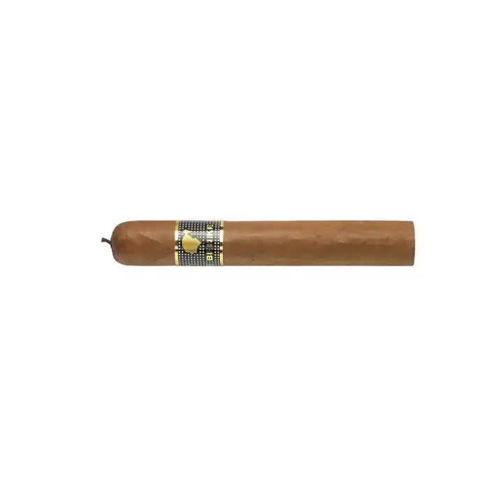 Cohiba Behike 54 Limited Edition Tadım Purosu Tekli