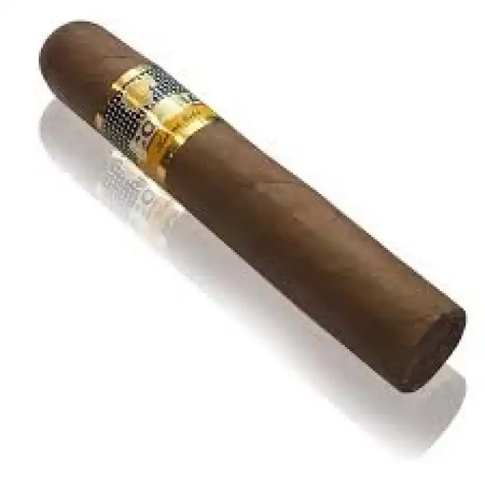 Cohiba Robustos (25li Kutu)