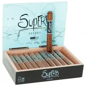 Blackbird Superb Toro 21li Kutu