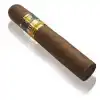Cohiba Robustos (25li Kutu)