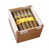 Cohiba Siglo 6 - 25li Kutu