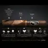 Davidoff Escurio Limited Edition Gran Toro 12li Puro