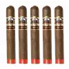 Gigantes Habano by La Rosa de Sandiego 10lu (8x80 Büyük Ring)