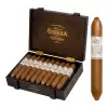 Gurkha Cellar Reserve 21 Year Hedonism 20li Puro