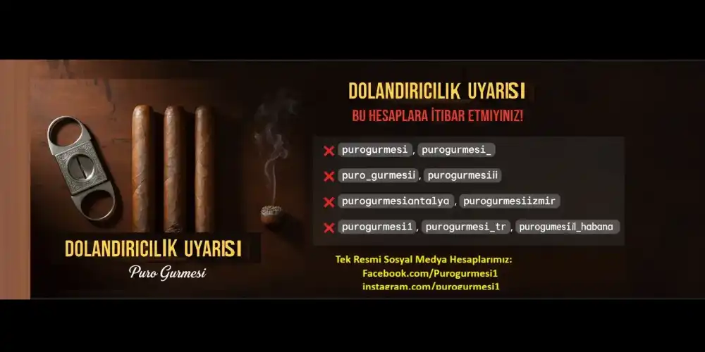 Sahte Site Dolandırıcılığı