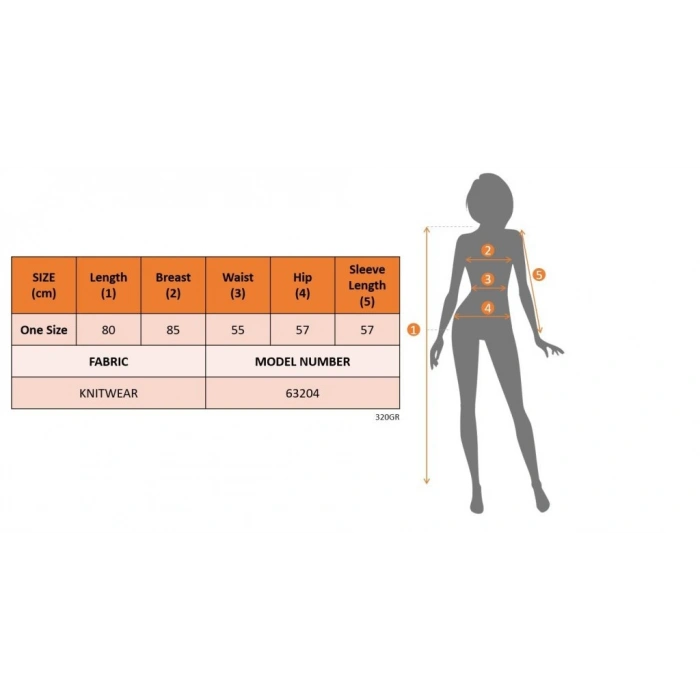 Kadın Uzun Kollu Yuvarlak Yakalı Kısa Triko Elbise