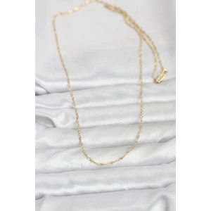 CM 14K Gold Renk Burgu Model 60 cm Kadın Kolye - Lisinya