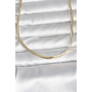 CM 14K Gold Renk Yassı Zincir Model 45 cm Kadın Kolye - Lisinya