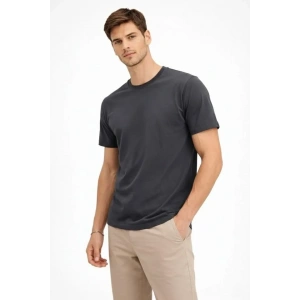 Erkek Bisiklet Yaka Tişört Regular Kalıp Basic Pamuklu Günlük Kullanım T-shirt - Füme