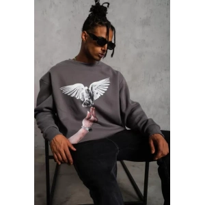 Erkek Güvercin Baskılı Sweatshirt - Gri