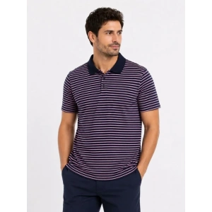 Erkek Pike Kumaş Gül Kurusu Çizgili Polo Yaka Tişört Kısa Kol T-Shirt - Siyah