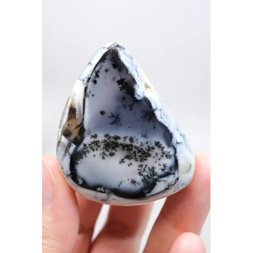 Alkimik Mavi ve Altın Birleşimi: Cilalı Merlinit (Dendritik Opal) Numunesi