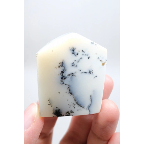 黑白相间抛光自由形梅林石 - 雪蓝黑色树枝状蛋白石口袋石