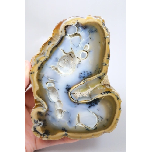Blau-Gelber Dendritischer Opalscheibe (Merlinit) - Beidseitig Professionell Poliert, 330g