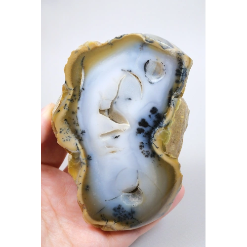 Blue and Yellow Dendritic Opal Slice (Merlinite) – Professionally Polished on Both Sides Specimen, 367g