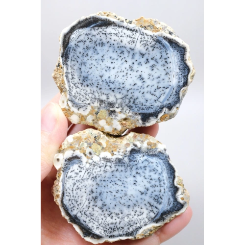 Mavi Dendritik Opal Çifti • Siyah ve Beyaz İç İçe Opal