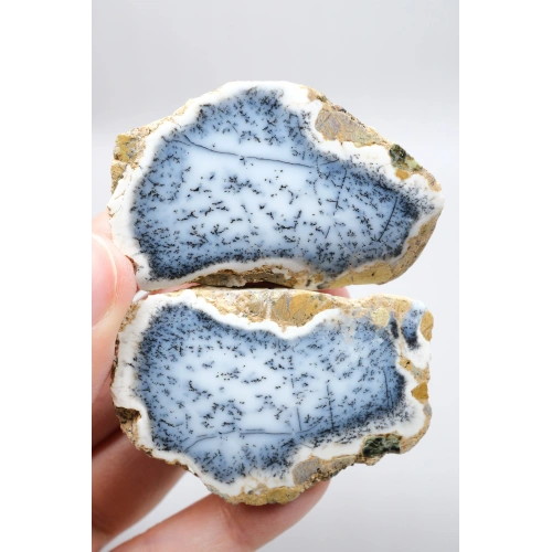 Mavi Dendrit Opal Çifti • Beyaz İçeriğe Sahip Opal