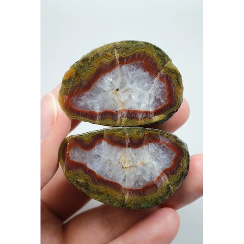 Tuğla Kırmızısı ve Zeytin Yeşili Bantlı Siyah Deniz Agatı Çifti