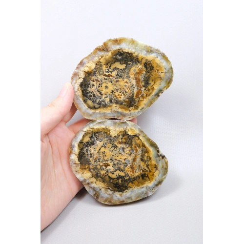 Brown Dendritic Opal Cut Pair – Rich Honey-Ochre Core with Fine Black Dendrite Webbing, 408g