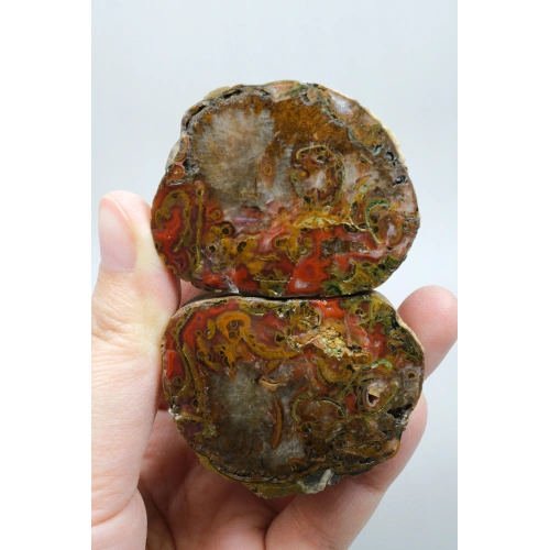Carnelian Kırmızı ve Hardal Sarısı Bantlı Siyah Deniz Akik Çifti, 167g