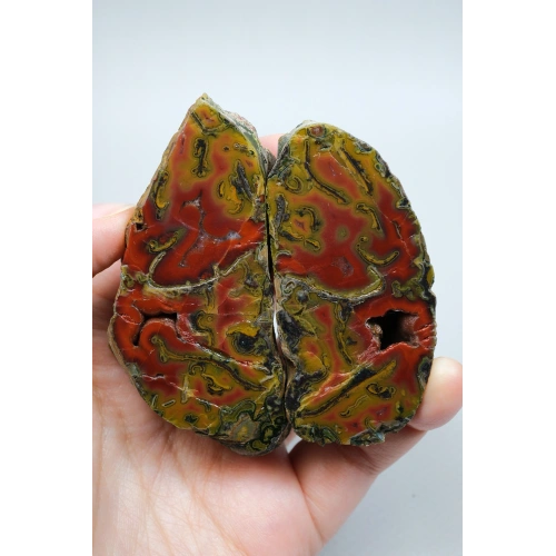 Carnelian Red and Mustard Yellow Banded Black Sea Agate Pair