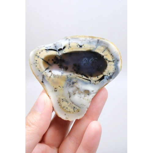 Colorful Merlinite Dendritic Opal Tekli | Kar Beyazı, Hardal Sarısı ve Derin Kömür