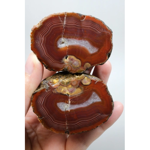 Crimson Red Banded Black Sea Agate, 194g