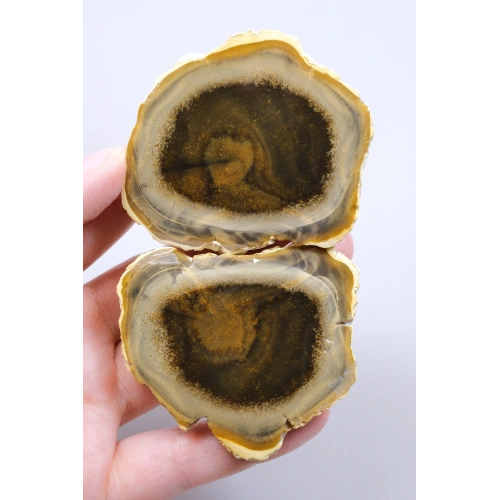 Koyu Bal Rengi ve Kehribar Tonlu Merlinit – Konsantrik Renk Bantlarına Sahip Dendritik Opal Çifti, 112 g