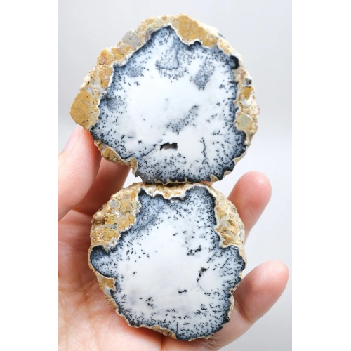Dendritik Simya: Merlinit (Dendritik Opal) - Cilalı Çift
