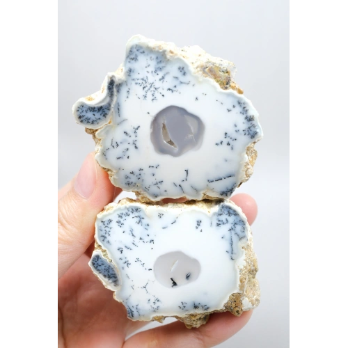 Dendritik Rüyalar: Bölünmüş Opal - Merlinit, 185g
