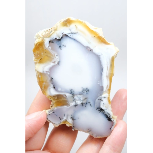 Dendritik Bal Opal Dilimi: Cilalanmış Merlinite Taşı (90g)