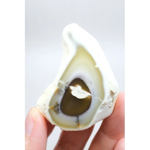Dendritik Opal Dilimi Amber Merlinite ile Halkalı İçerikler, 152g