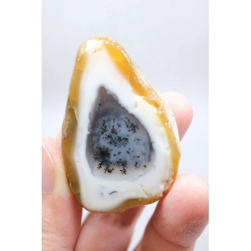 Dendritik Opal Kış Ormanı Dilimi - Cilalı Merlinite Portal - Mavi ve Beyaz Dendritik İçerik