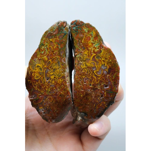 Dense Terracotta Red and Mustard Yellow Plume Agate, 180g