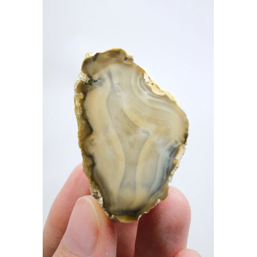 Topraksı Kahve ve Krem Dendritik Opal Merlinit Dilimi, 35g
