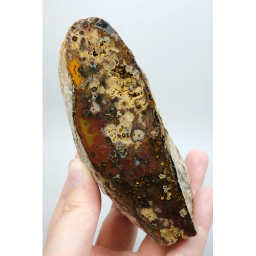 Eye-Banded Black Sea Agate - Derin Tuğla Kırmızısı, Hardal Sarısı ve Koyu Kahverengi Orbiküler