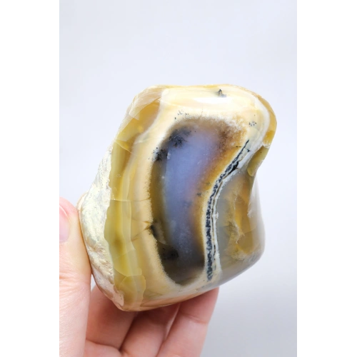 Honey and Blue Merlinite Freeform – Translucent Blue Chalcedony Core with Black Dendrites, 229g