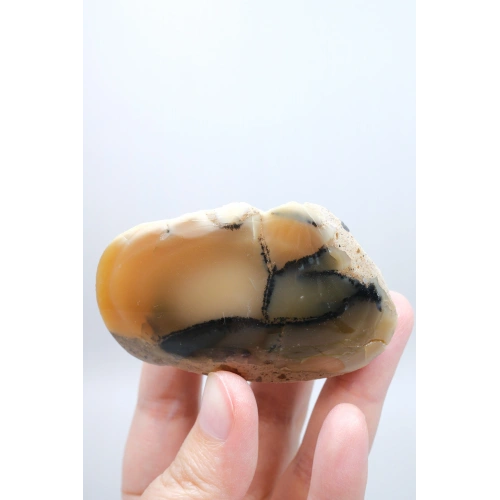 Bal Rengi Dendritik Opal Cilalı | Koyu Kahverengi Dendritik Opal ile Siyah İçerikler