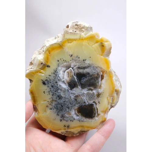 Bal-Sarı ve Buz-Mavi Dendritik Opal Levha - Kuvars Jeot Boşlukları ve Siyah Dendrit Tüyler, 377g