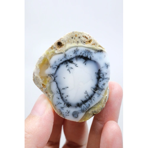 Halkalı Göz Desenli, Buz Mavisi ve Beyaz Dendritik Opal Örneği, 59 g