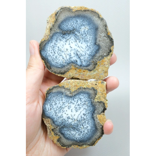 Merlinite (Dendritik Opal) - Mavi ve Beyaz Dendritik Opal Çift