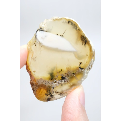 Merlinit Dilimi – Şeffaf Sarı ve Beyaz Dendritik Opal ile İnce Siyah İçerikler, 13g