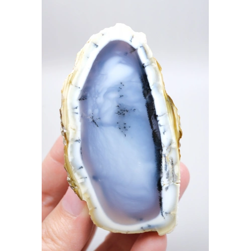 Mist Forest Dendritic Opal | Derin Derin Mavi ve Kar Beyazı